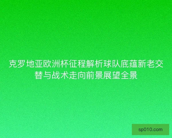 克罗地亚欧洲杯征程解析球队底蕴新老交替与战术走向前景展望全景